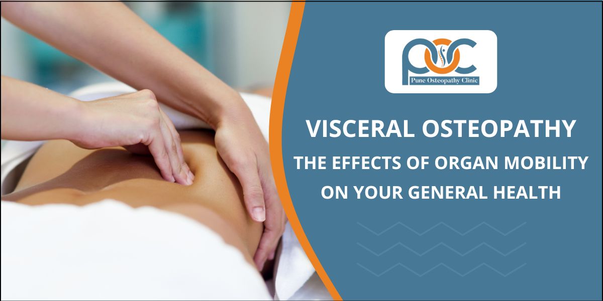 Visceral Osteopathy: How Organ Mobility Can Impact Your Overall Health